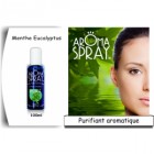 Aromaspray - Assainisseur d'atmosphère aux huiles essentielles - Menthe et Eucalyptus - 100% pures et naturelles - 100 ml